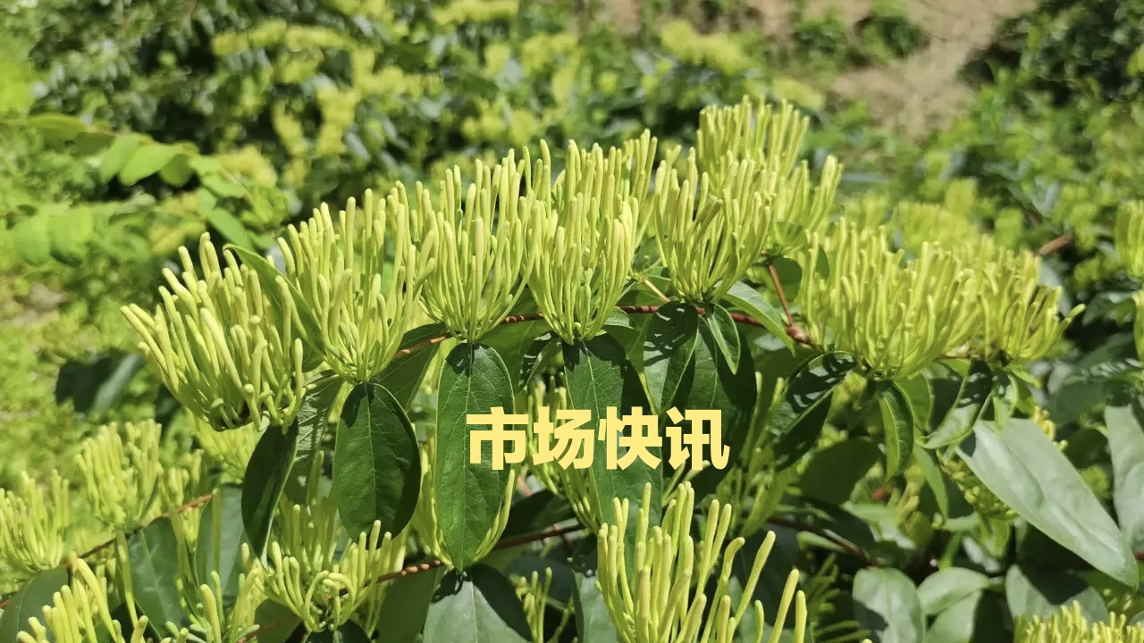 微信图片_20221030172332.jpg