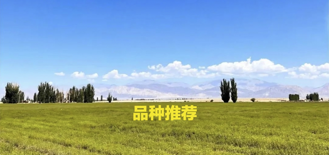 微信图片_20221030172323.jpg