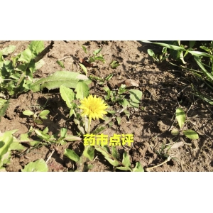 【周评】十月第三周受疫情反弹，多地交易受限，下跌品种增多