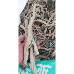 高鹏说药材：优势品种种植推荐—防风、丹参、板蓝根
