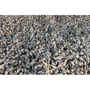 中药材种植生产是一门学问，不慎重你玩不起