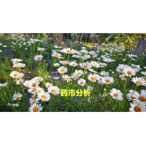【药市分析】预计今年药市整体行情回落将出现延后