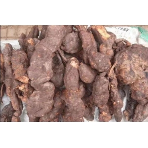高鹏说药材：优势品种种植推荐——何首乌、知母、丝瓜络