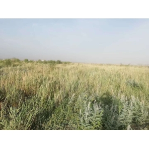 药材种植的各类肥料介绍