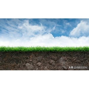 种植中药材，土壤很关键