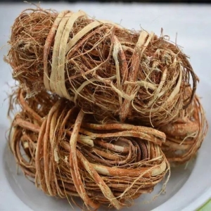 识药：五指毛桃