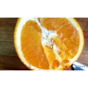 “清肺”高手出现了，隔三差五吃一次，给肺来个大扫除，清肺润肺