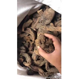 高鹏说药材：关于成立“新疆中药材规范化种植联盟”的倡议