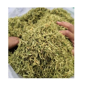 高鹏说药材：新疆中药材产业发展如何破局？