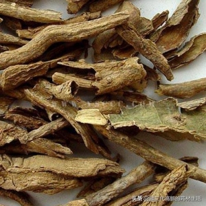 高鹏说药材：在极端天气影响的背景下看新疆中药材产业发展优势
