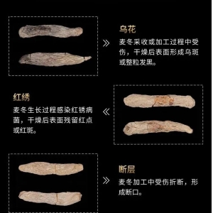 超全的麦冬细解（产地、形态、加工、残次品、混淆品、贮藏、商品