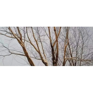 辨证施治 咳嗽才能药到病除