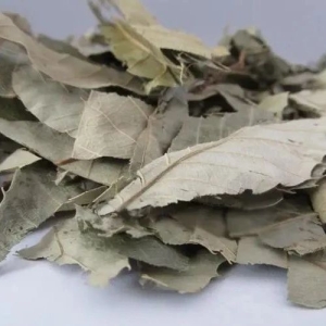 一味中药补肾助阳，对风湿痹痛，阳痿不举，甚至老年人抽筋、腿沉