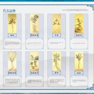 全国道地药材资源分布及区划（图）