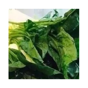 心脏最怕冷，这菜堪比强心剂！每天吃一把，强心脏，清肠毒