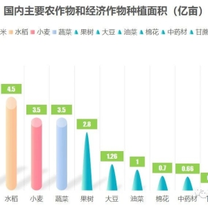 中药材的机械化移栽的解决办法