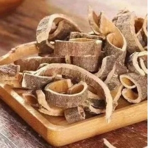 树皮类药材知多少