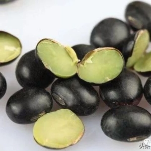 冬季，养肾“黄金期”，做好“四个字”，强壮肾脏，少生病