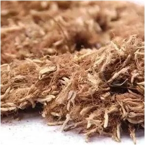 这些药材涨价了