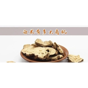 白术有多大商机