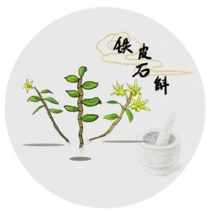 210味常用中药名释义表格版