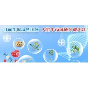 目前全国流感正盛  大批中药或成药被关注