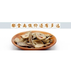 郁金离低价还有多远