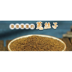 涨涨落落的菟丝子