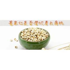 薏米仁是否潜伏着大商机