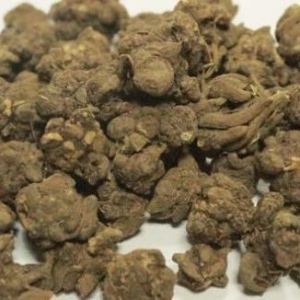 快来看，这些药材又涨了！！