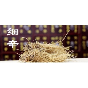 每日中药小故事之细辛