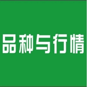 【行情】珍稀中药材涨价推动药品价格上行 中药板块表现活跃