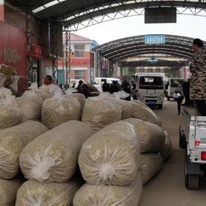 平邑金银花药材产地价格(2023.05.21)