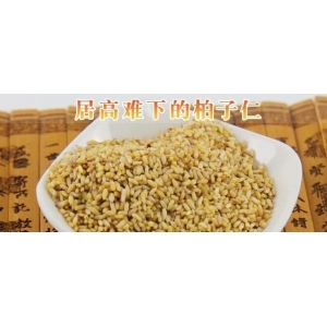 居高难下的柏子仁