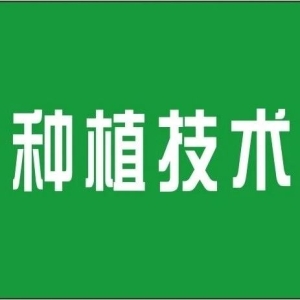 【智慧种植】数字化时代，中草药的智能种植