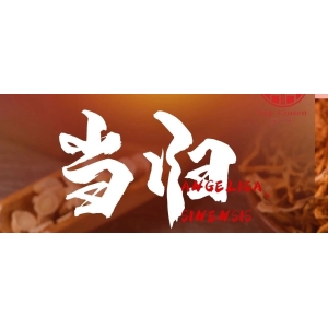 5月24日国家级万良人参市场最新价格