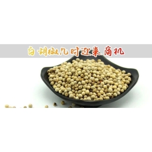 白胡椒几时迎来商机