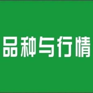 【进口品种】中国边境口岸进口药材市场调查及现状分析