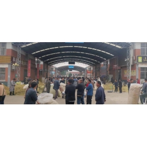 平邑金银花药材产地价格(2023.05.26)