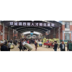 平邑金银花药材产地价格(2023.06.01)