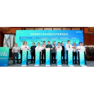 首届中国道地药材产业大会召开，全国10地签约扁鹊共建“产地仓