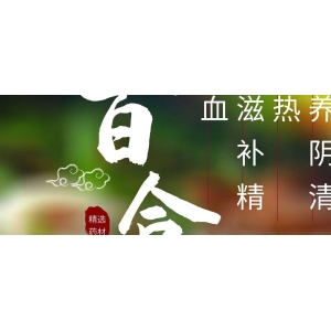 6月3日国家级万良人参市场最新价格