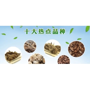十大热点品种