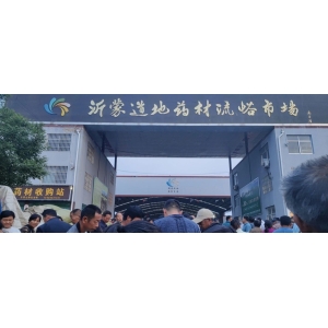 平邑金银花药材产地价格(2023.06.04)