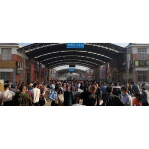 平邑金银花药材产地价格(2023.06.06)