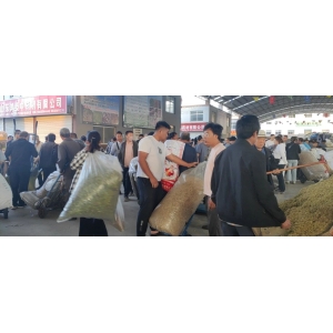 平邑金银花药材产地价格(2023.06.09)