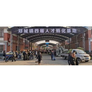 平邑金银花药材产地价格(2023.06.10)