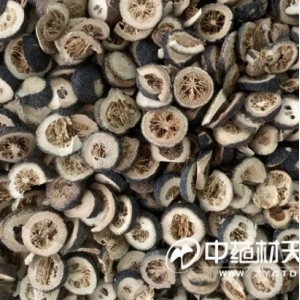 枳实产新行情走低 后期是否存在商机