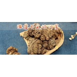 涨落不定的川芎