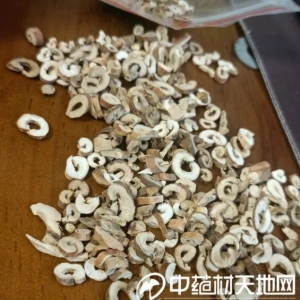牡丹皮价格连连上涨 未来或还有期待